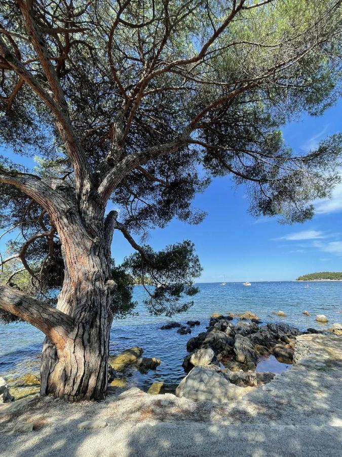 Clorinda Sea View Free Parking * Rovinj